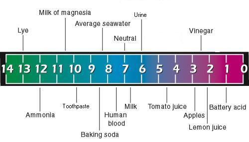 ph scale