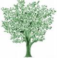 money tree