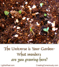 Universe Garden