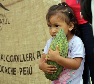 Cocao de aroma light fund winner in Peru