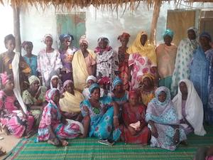 senegal group light fund winner