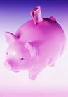 pink piggy bank